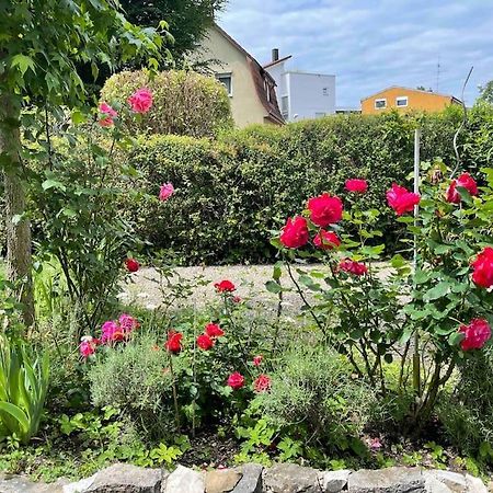 Fewo Apartment Lake Of Constance FDH Eksteriør billede